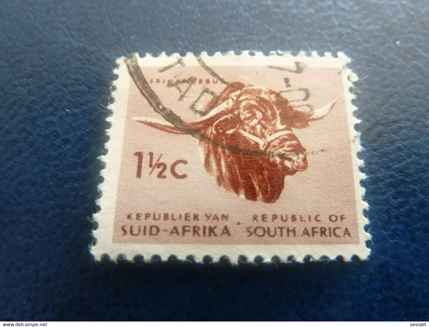 Républic Of South Africa - Buffle - 1 1/2 C. - Multicolore - Oblitéré - Année 1963 - - Usati