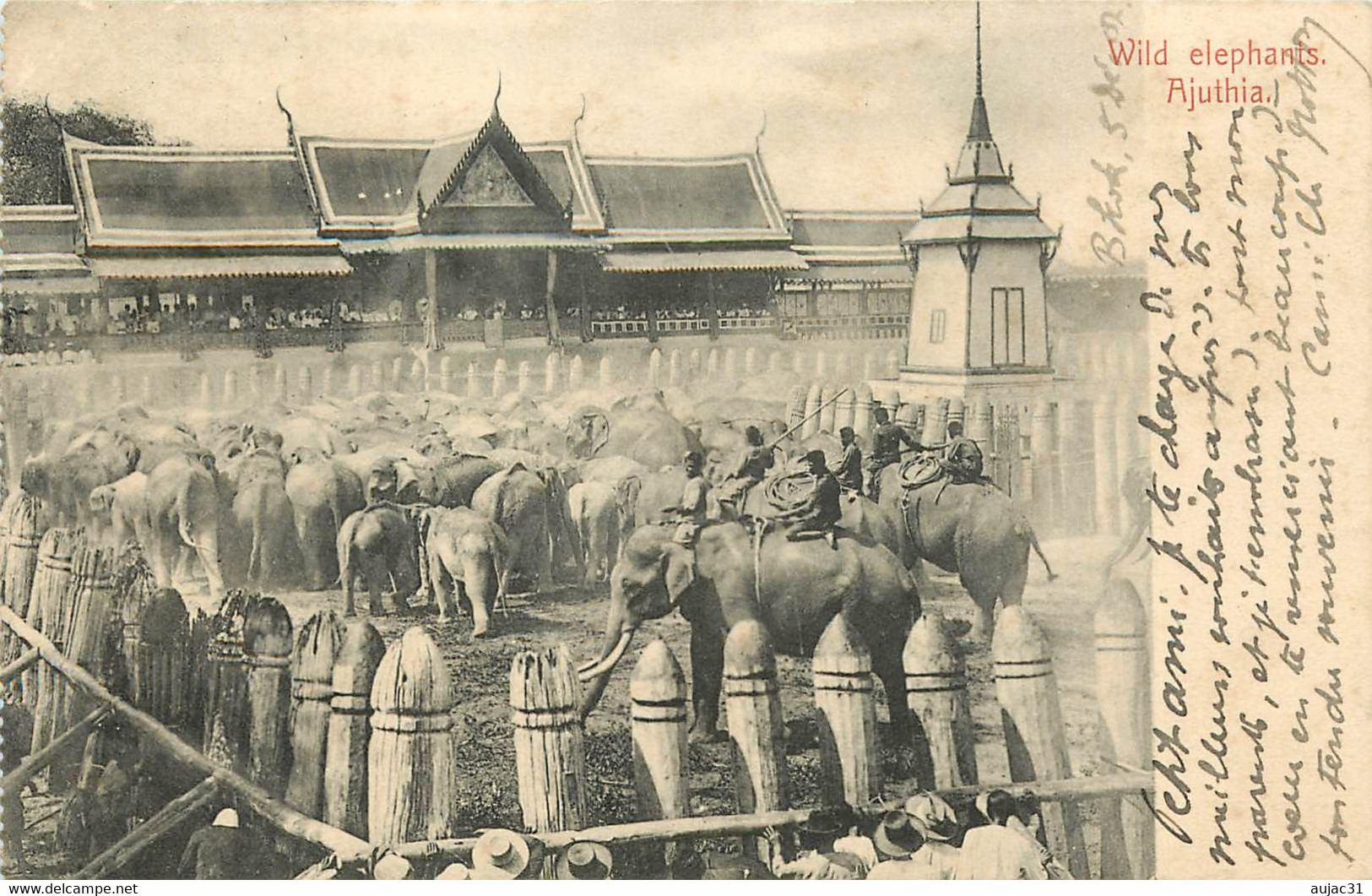 Thailande - Animaux - Elephant - Bangkok - Wild éléphants Ajuthia - état - Thaïlande