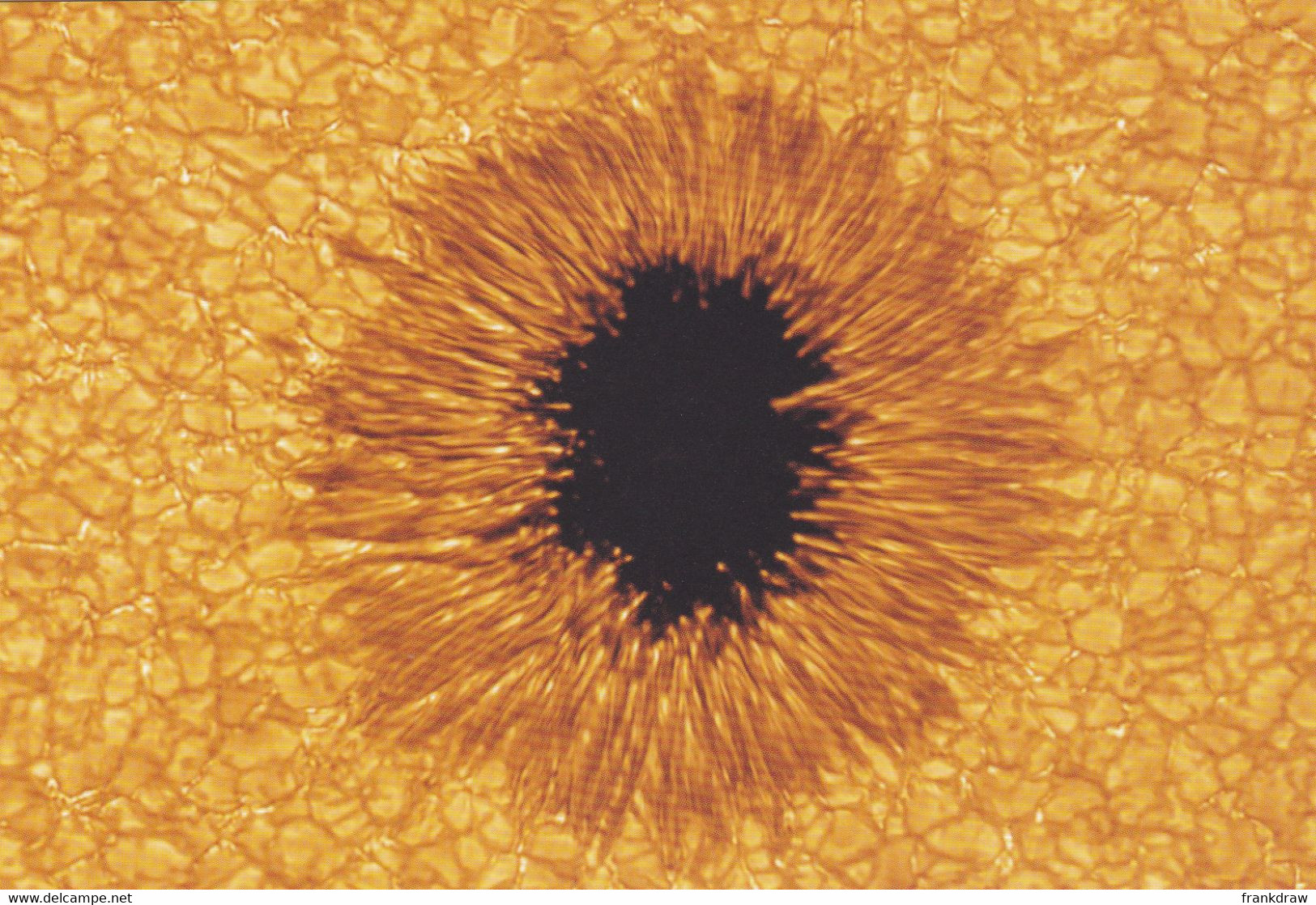 Postcard - Archives Of Nasa - Detail Of A Sunspot, Picture Taken  In 2010 By New Jersey Institute Of Technology - New - Astronomie