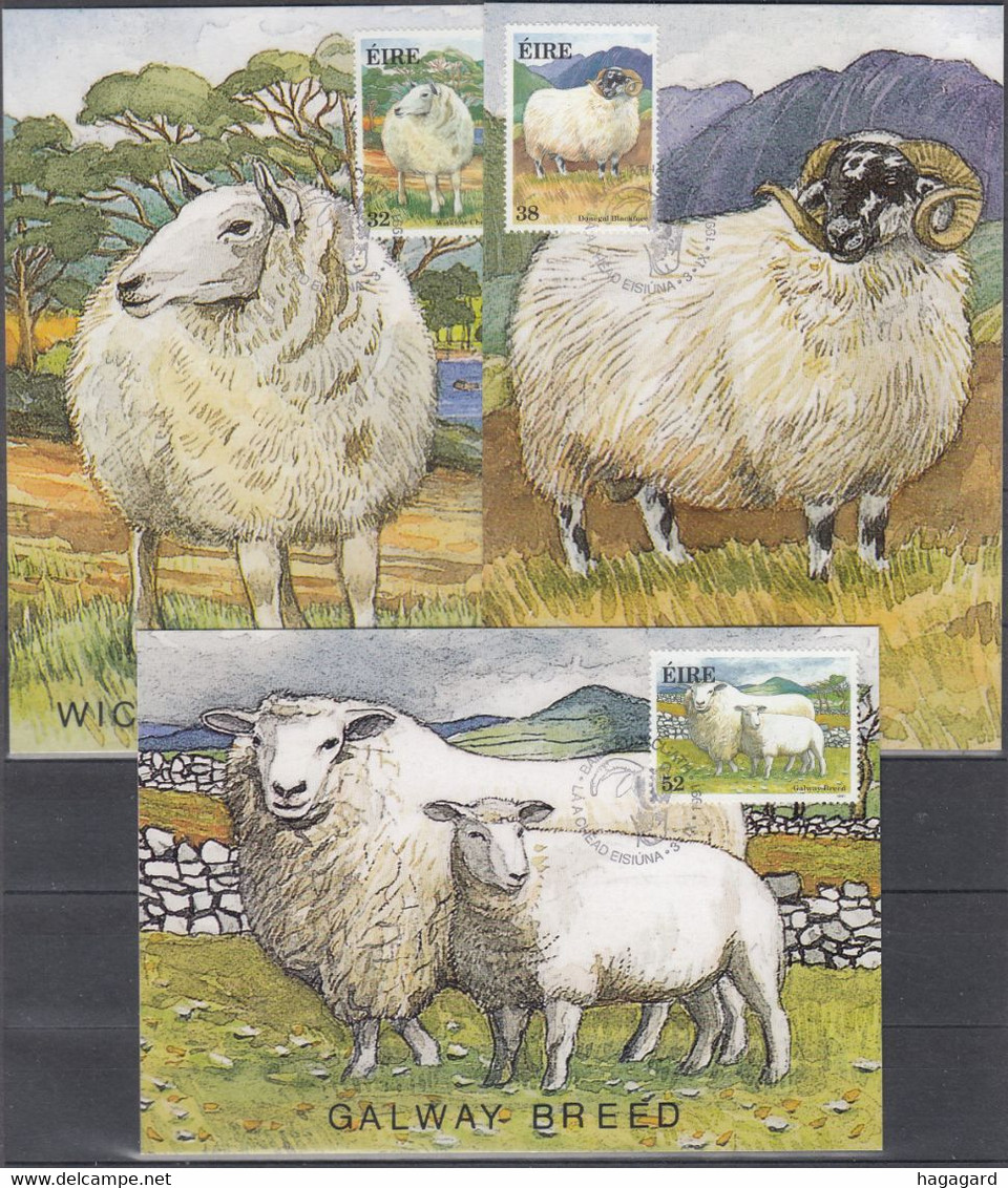 O Q1400. Ireland 1991. Sheeps. 3 Maximum Cards. Michel 766-68. - Maximumkaarten