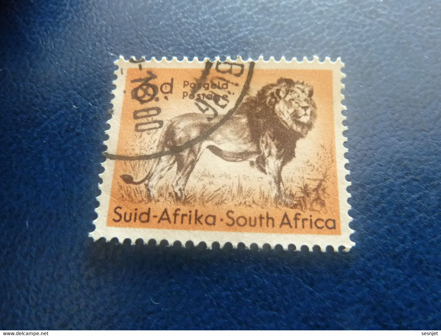 Suid-Africa - South Africa - Lion - 6 D. - Postage - Multicolore - Oblitéré - Année 1986 - - Gebruikt