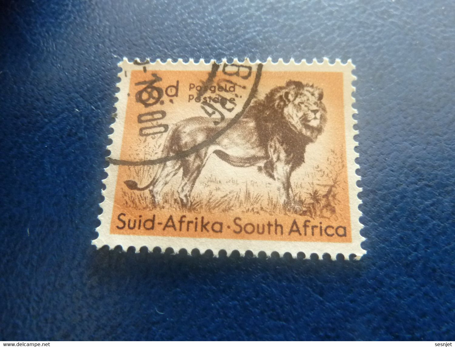 Suid-Africa - South Africa - Lion - 6 D. - Postage - Multicolore - Oblitéré - Année 1986 - - Usados