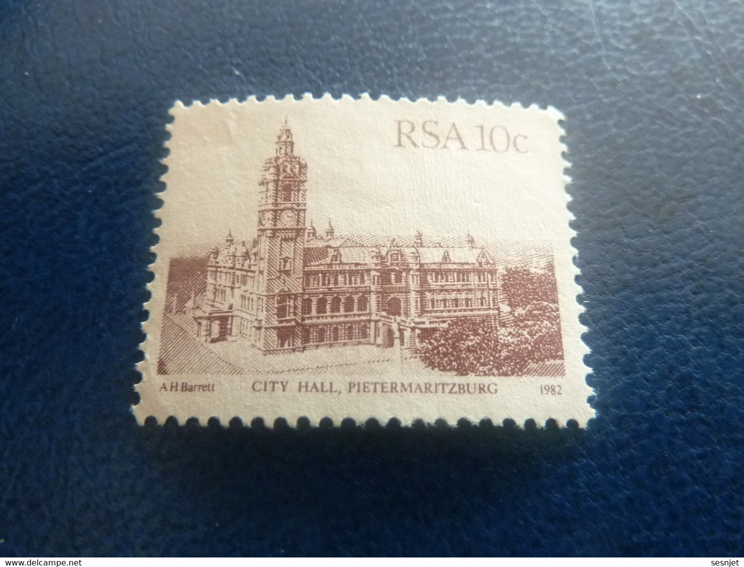 Rsa - City Hall - Pietermaritzburg - 10 C. - Brun Clair - Non Oblitéré - Année 1982 - - Usati