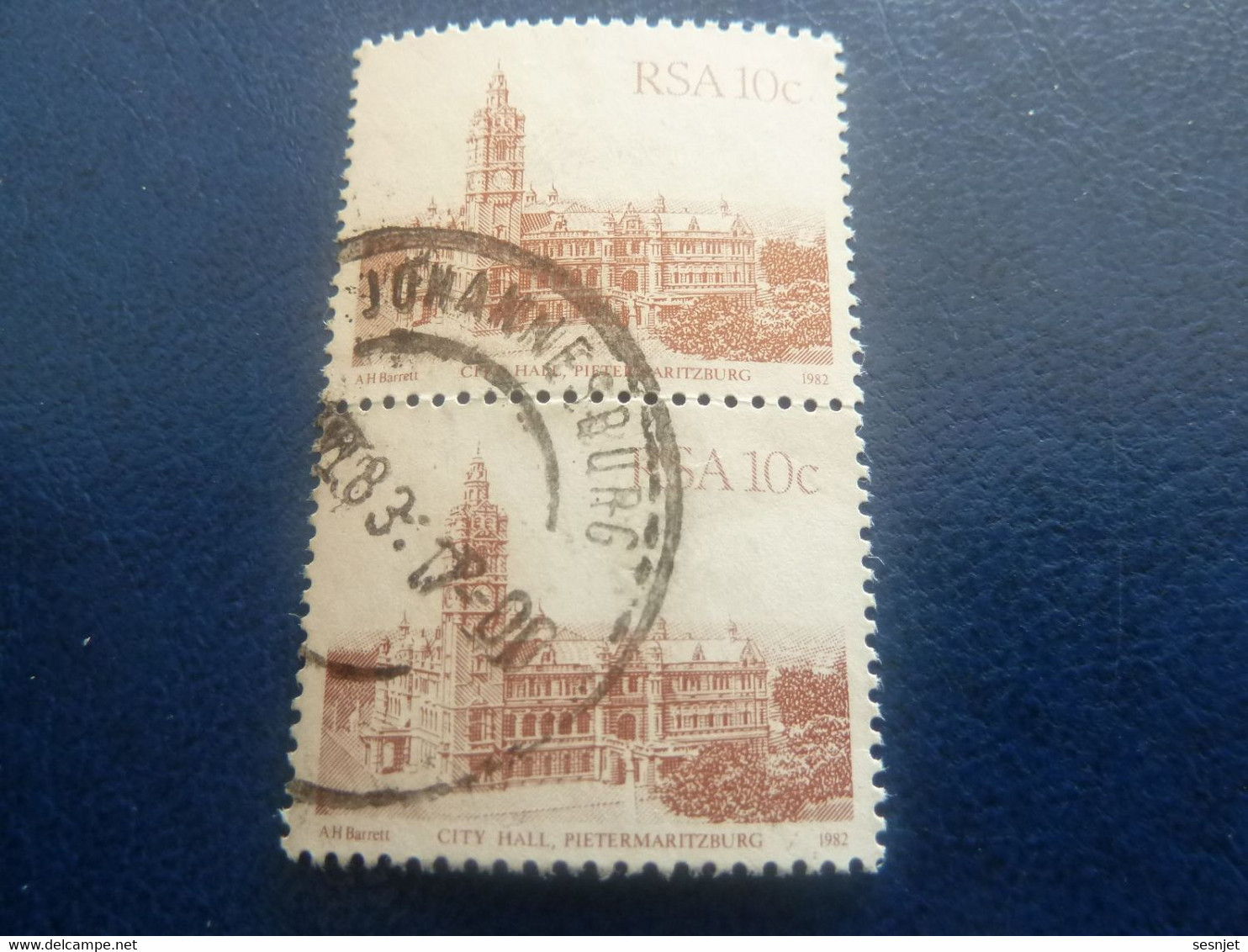 Rsa - City Hall - Pietermaritzburg - 10 C. - Brun Clair - Double Oblitérés - Année 1983 - - Used Stamps