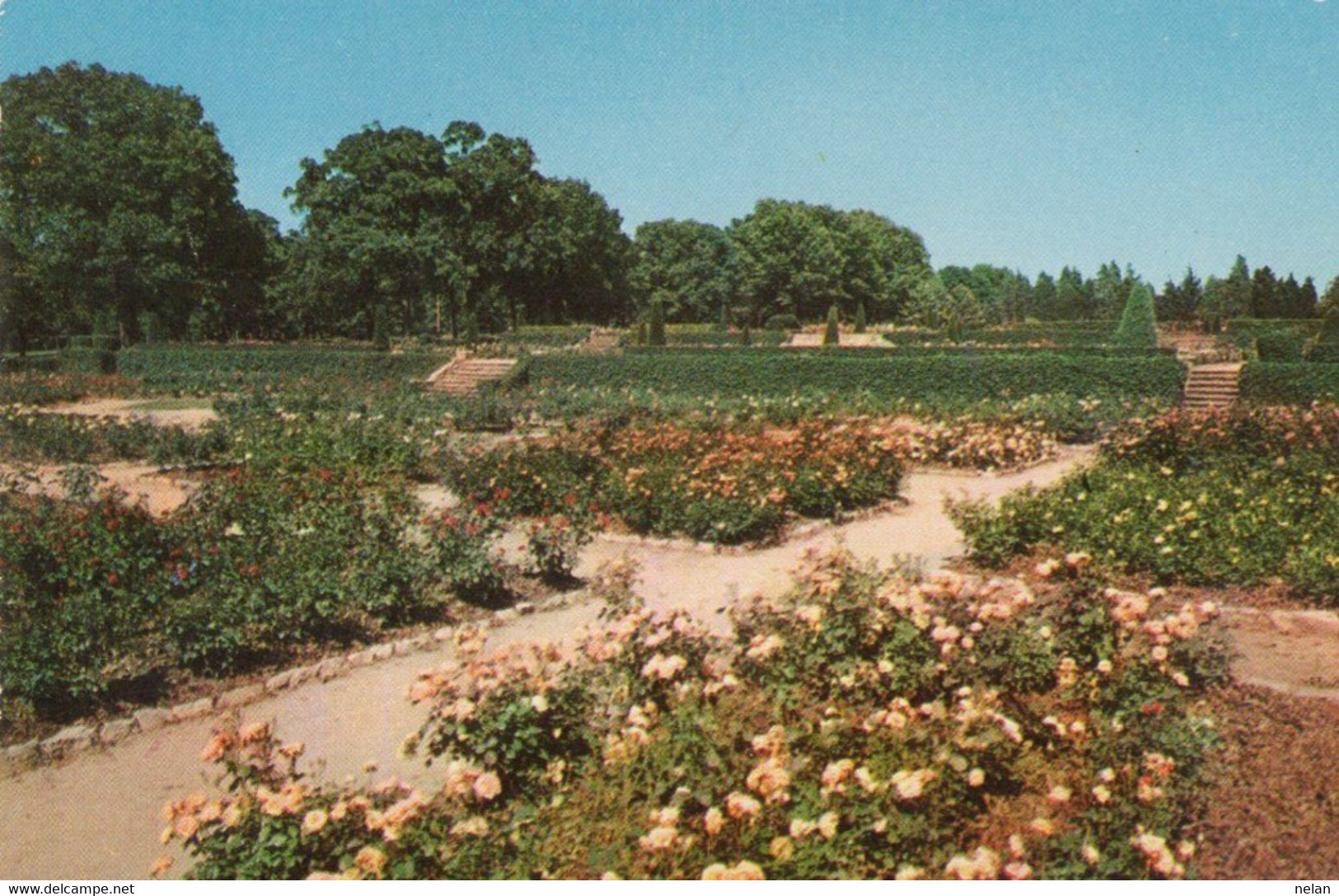 TULSA MUNICIPAL ROSE GARDEN WOODWARD PARK - Tulsa