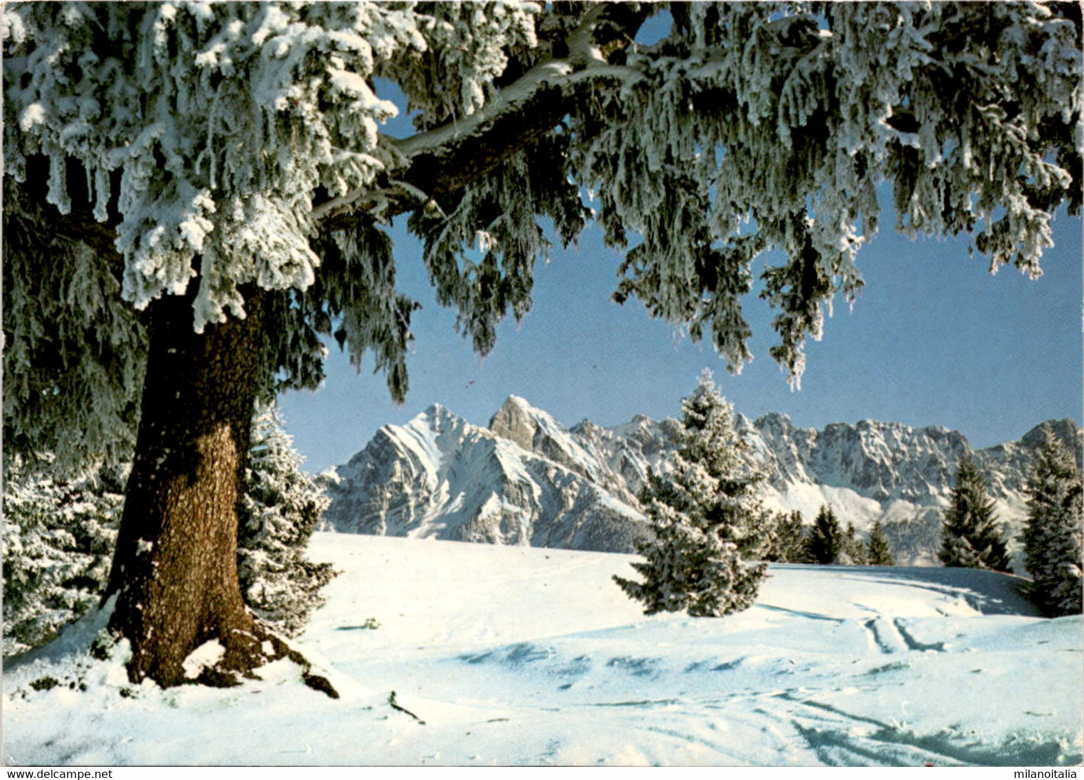 Flumserberge: Blick Auf Sichelcham Und Gamsberg (960) * 22. 3. 1980 - Gams