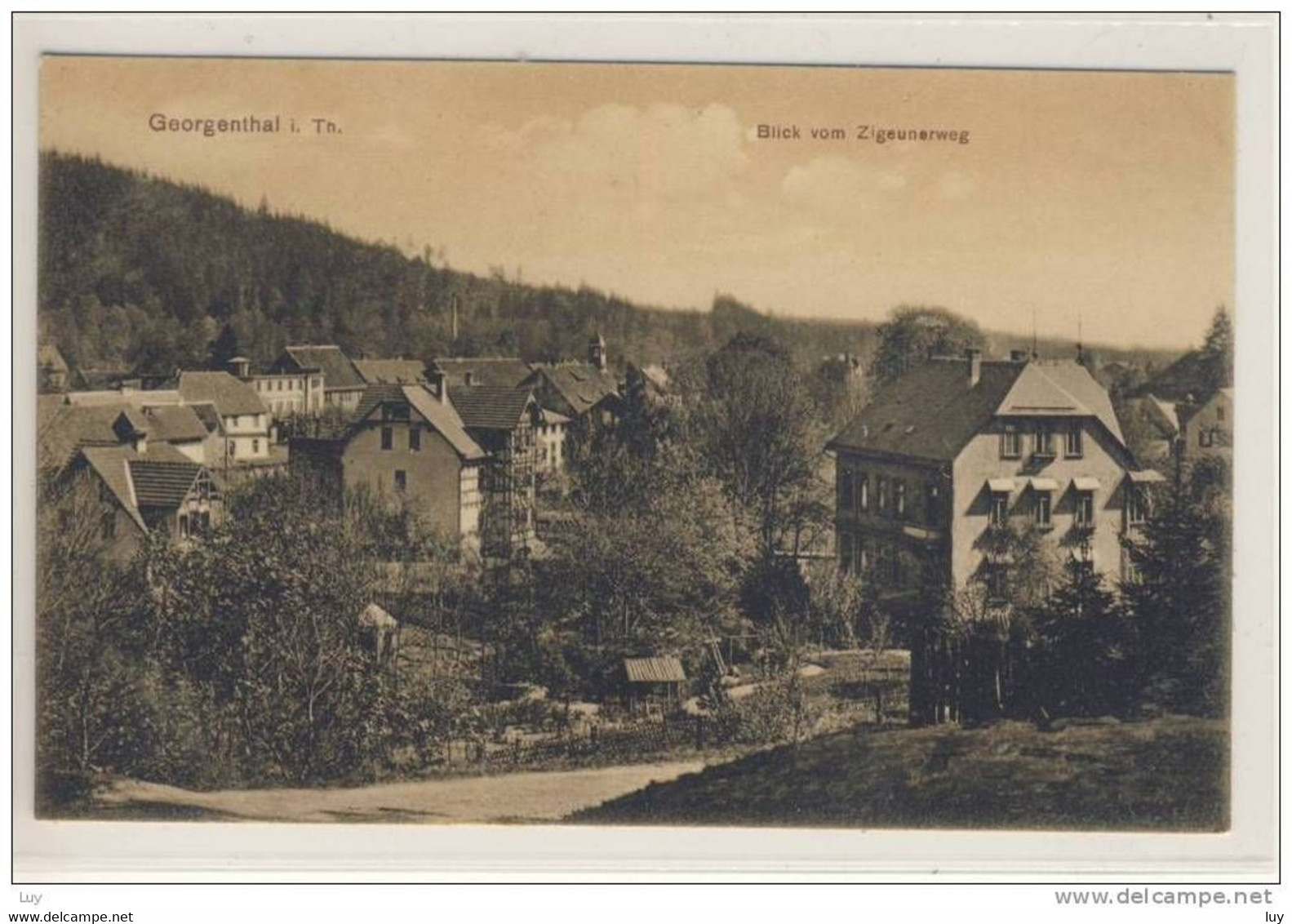 GEORGENTHAL - Blick Vom Zigeunerweg , Ungelaufen - 1905 - Georgenthal