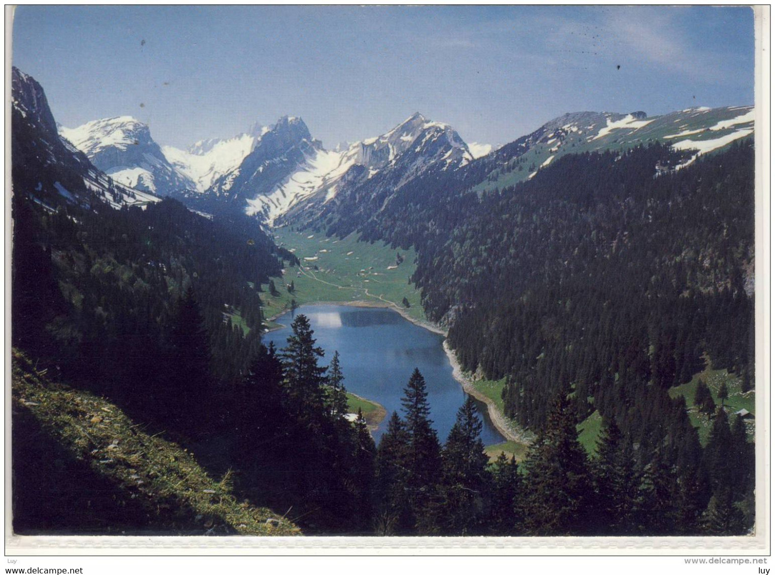 SÄNTISERSEE Mit Roslenfirst, Widderalpstöck, Marwees U. Alp Sigel - Saentis