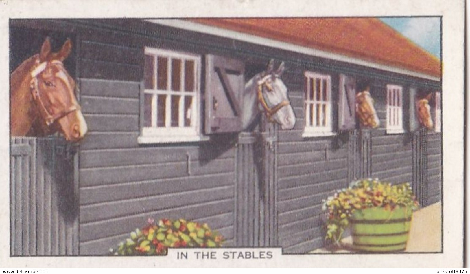 Racing Scenes 1938 - 7 In The Stables  - Gallaher Cigarette Card - Original - Horses - Gallaher