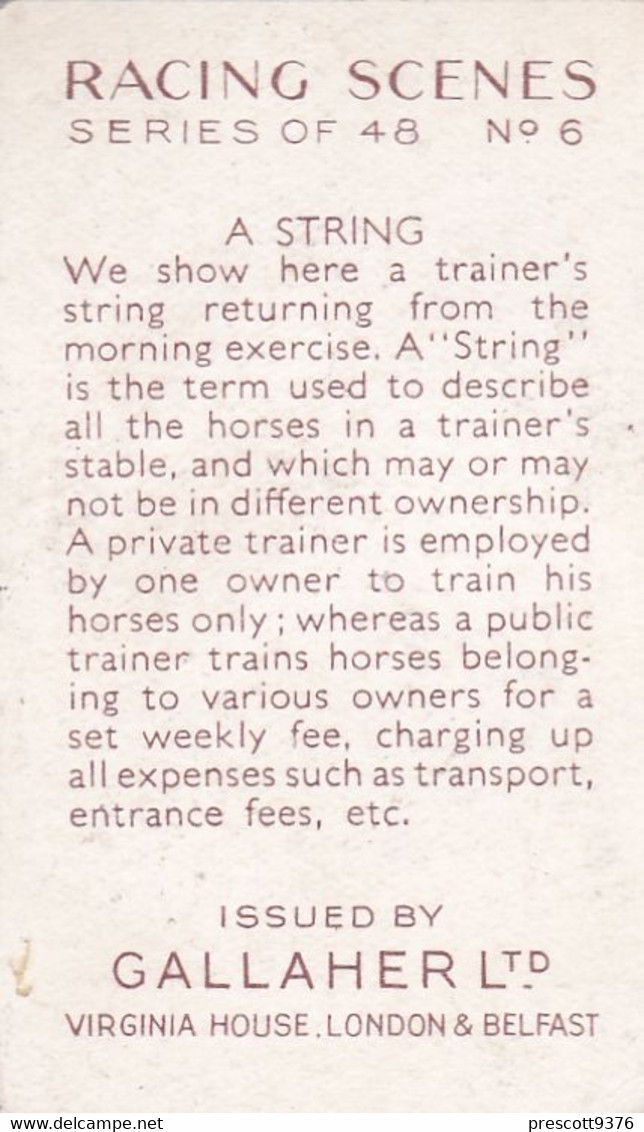 Racing Scenes 1938 - 6 A String Of Horses  - Gallaher Cigarette Card - Original - Horses - Gallaher