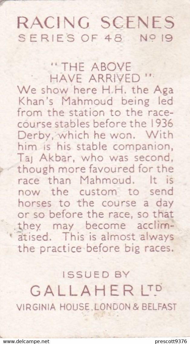 Racing Scenes 1938 - 19 "The Above Have Arrived"  - Gallaher Cigarette Card - Original - Horses - Gallaher