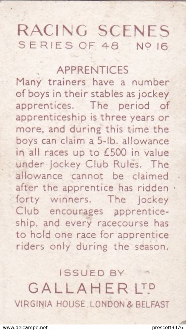 Racing Scenes 1938 - 16 Apprentices - Gallaher Cigarette Card - Original - Horses - Gallaher