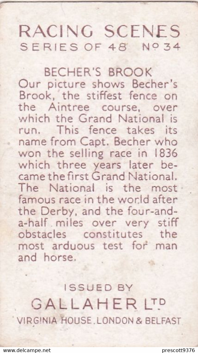 Racing Scenes 1938 - 34 Beechers Brook - Gallaher Cigarette Card - Original - Horses - Gallaher