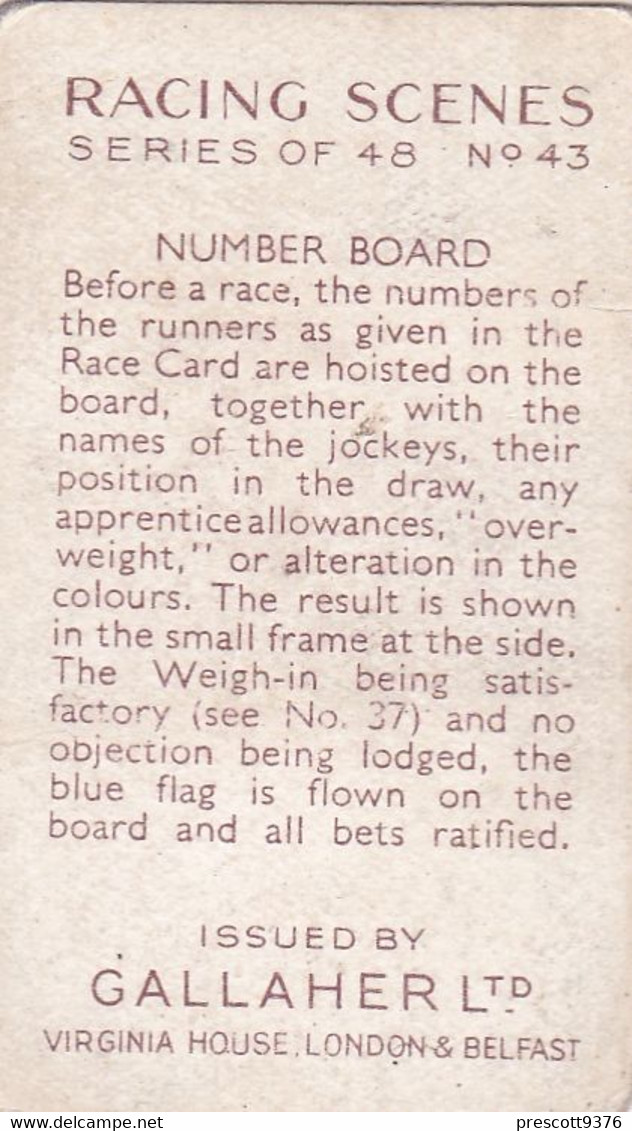 Racing Scenes 1938 - 43 Number Board - Gallaher Cigarette Card - Original - Horses - Gallaher