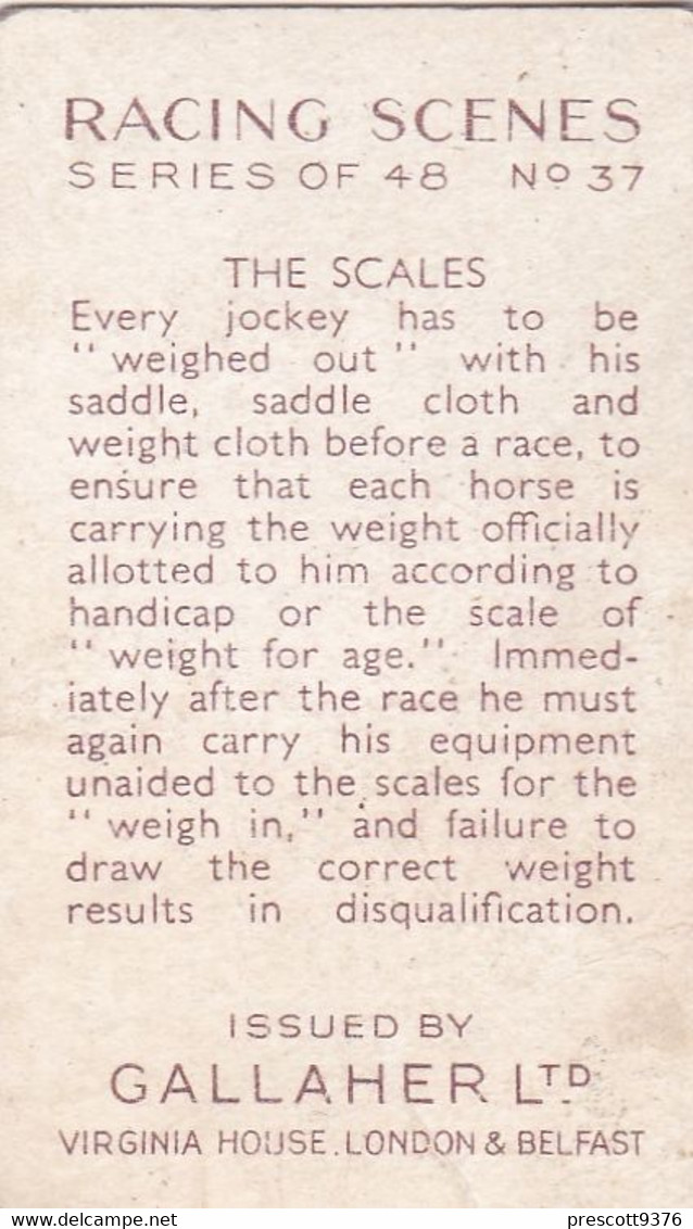 Racing Scenes 1938 - 37 The Scales - Gallaher Cigarette Card - Original - Horses - Gallaher