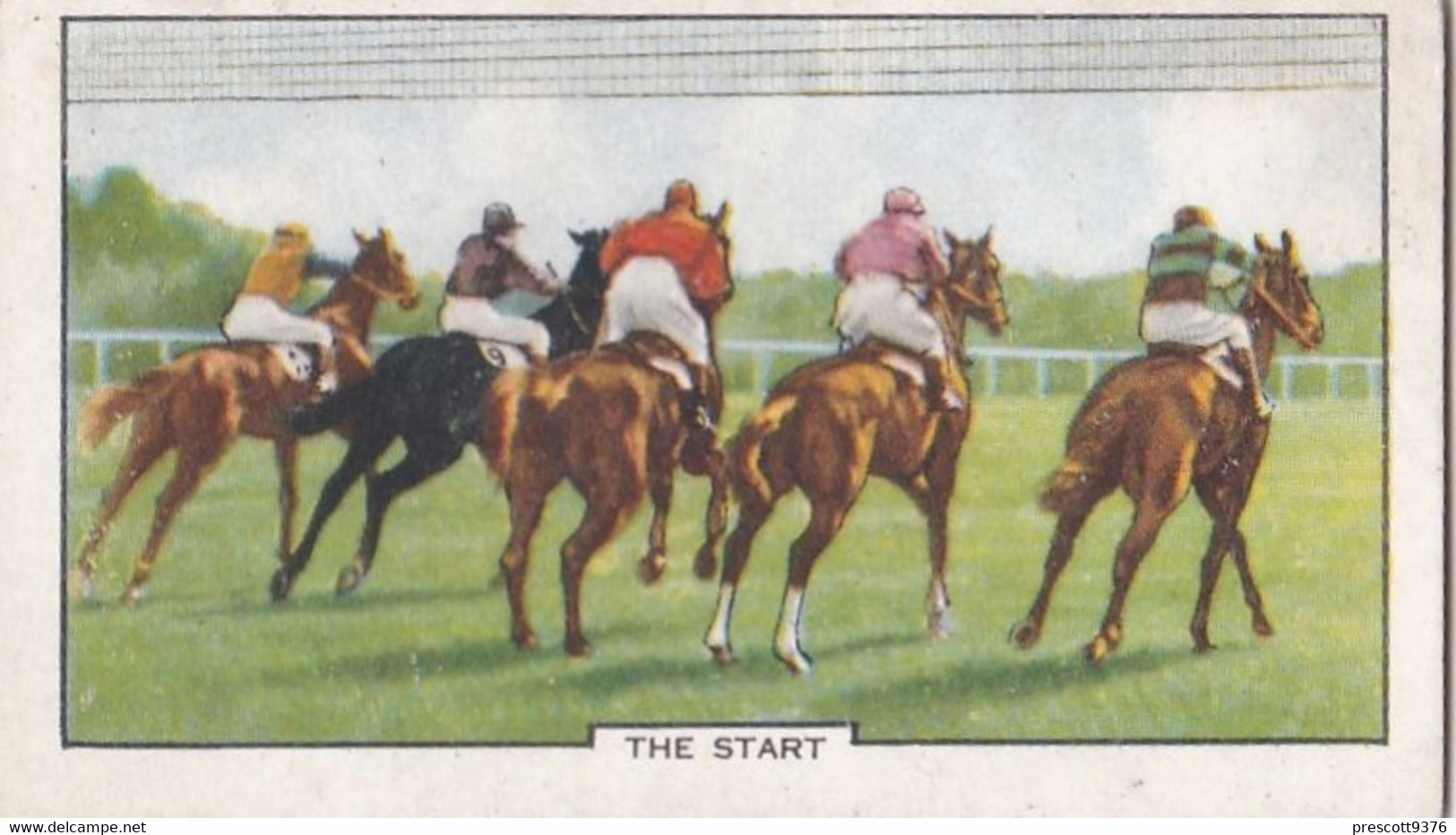 Racing Scenes 1938 - 31 The Start - Gallaher Cigarette Card - Original - Horses - Gallaher