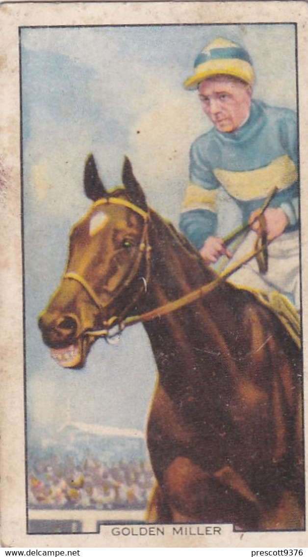 Racing Scenes 1938 - 48 "Golden Miller"   - Gallaher Cigarette Card - Original - Horses - Gallaher