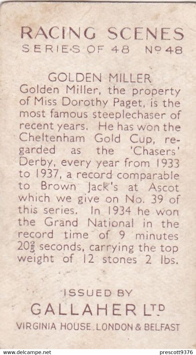 Racing Scenes 1938 - 48 "Golden Miller"   - Gallaher Cigarette Card - Original - Horses - Gallaher