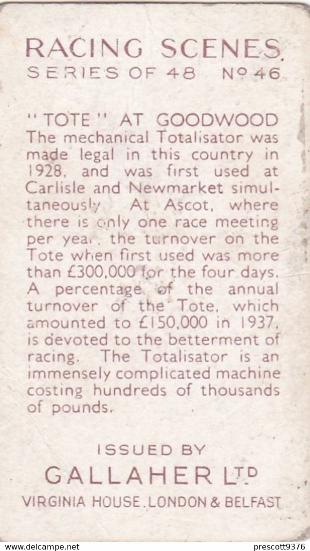 Racing Scenes 1938 - 46 Tote At Goodwood   - Gallaher Cigarette Card - Original - Horses - Gallaher