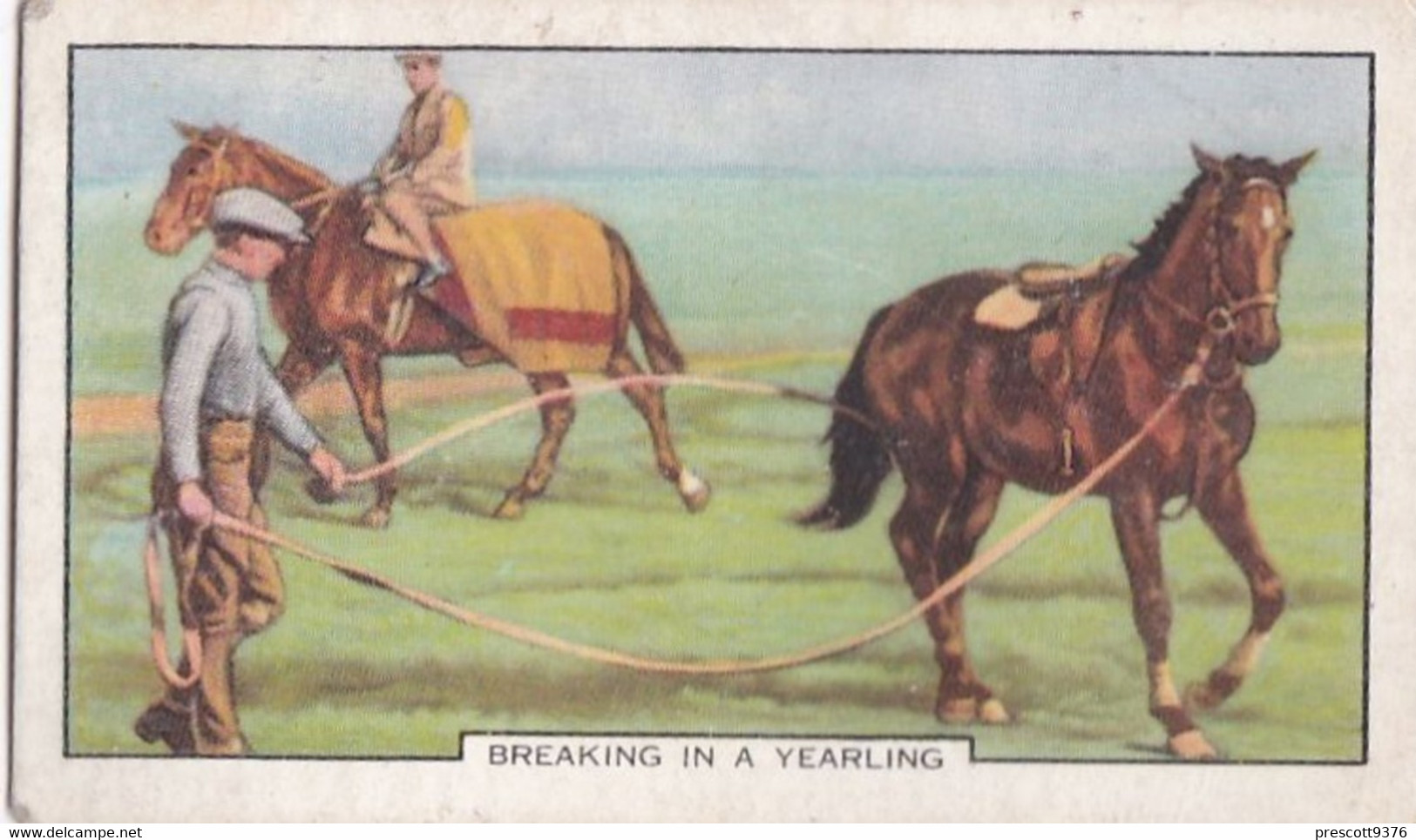 Racing Scenes 1938 -  10 Breaking In A Yearling  - Gallaher Cigarette Card - Original - Horses - Gallaher
