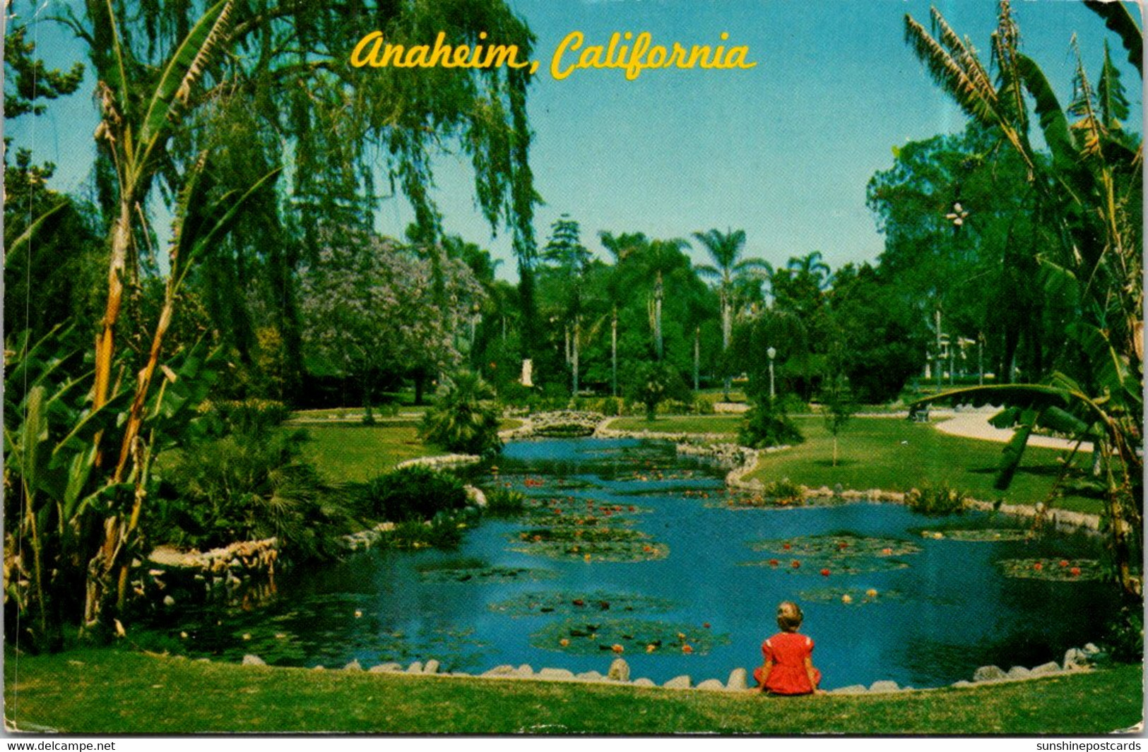 California Anaheim City Park Water Lily Pond 1971 - Anaheim