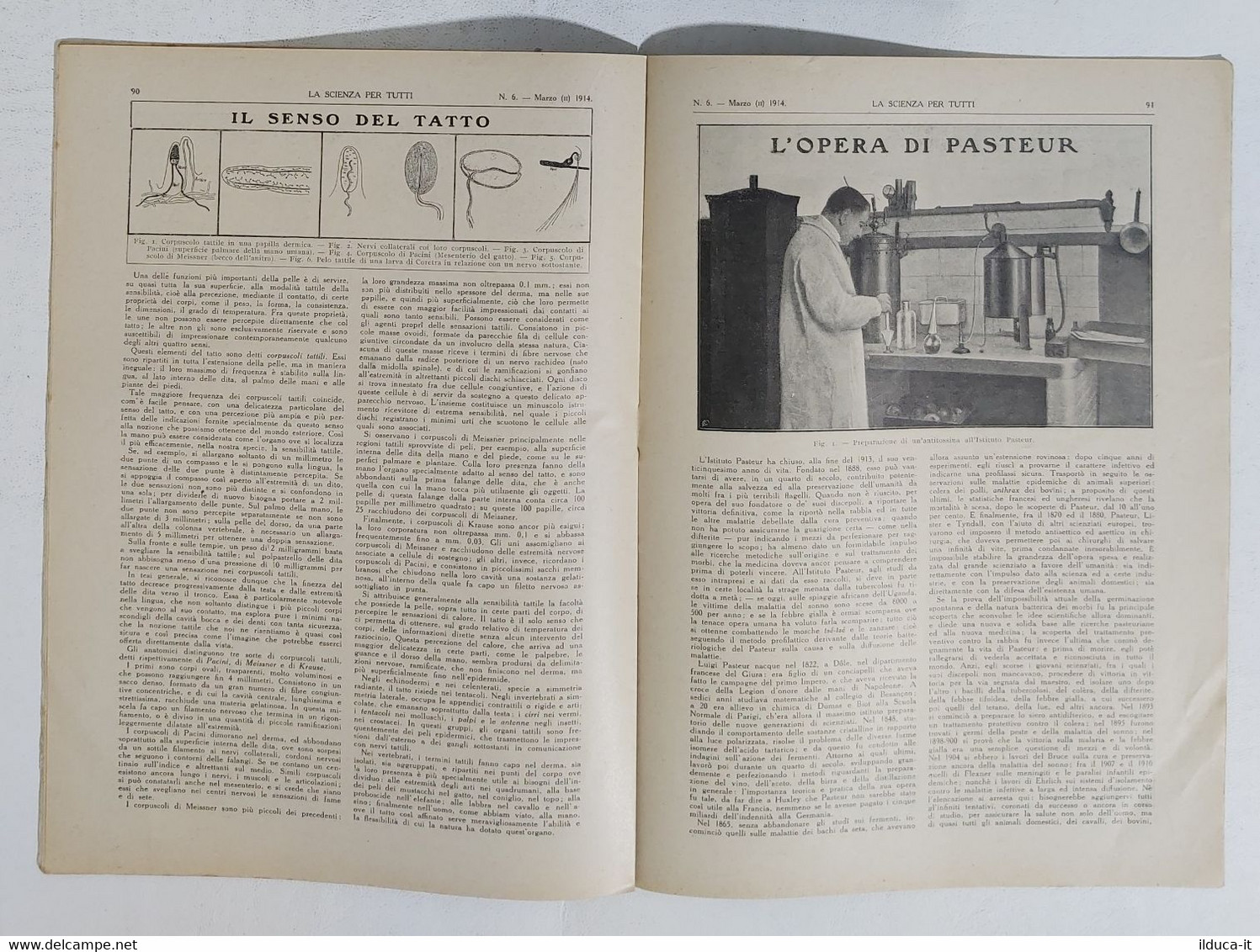 15774 La Scienza Per Tutti - A. XXI N. 06 Sonzogno 1914 - Galleria Ferroviaria - Wetenschappelijke Teksten