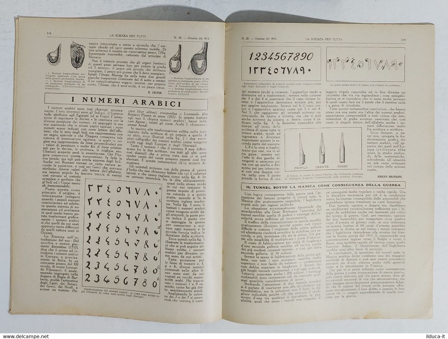 15789 La Scienza Per Tutti - A. XXII N. 20 Sonzogno 1915 - Scientific Texts