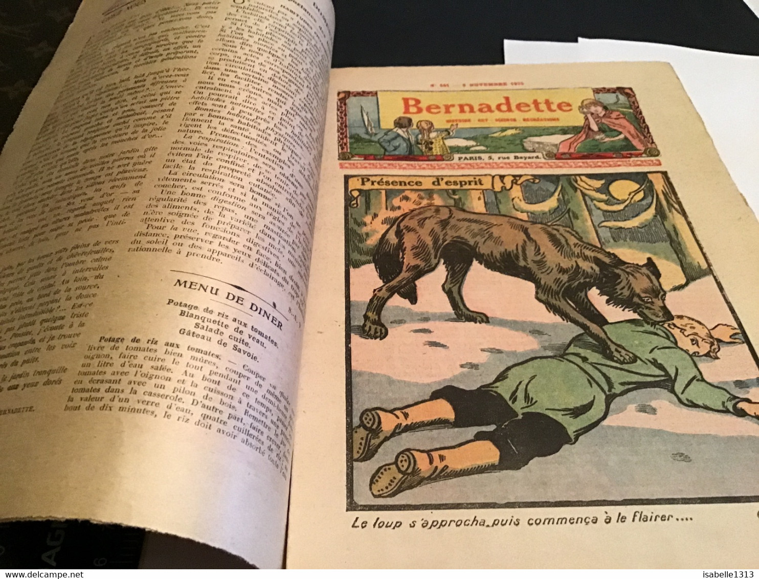 Bernadette Revue Hebdomadaire Illustrée Rare 1926 Numéro 141 Leçon De Lessivage Présence D’esprit - Bernadette