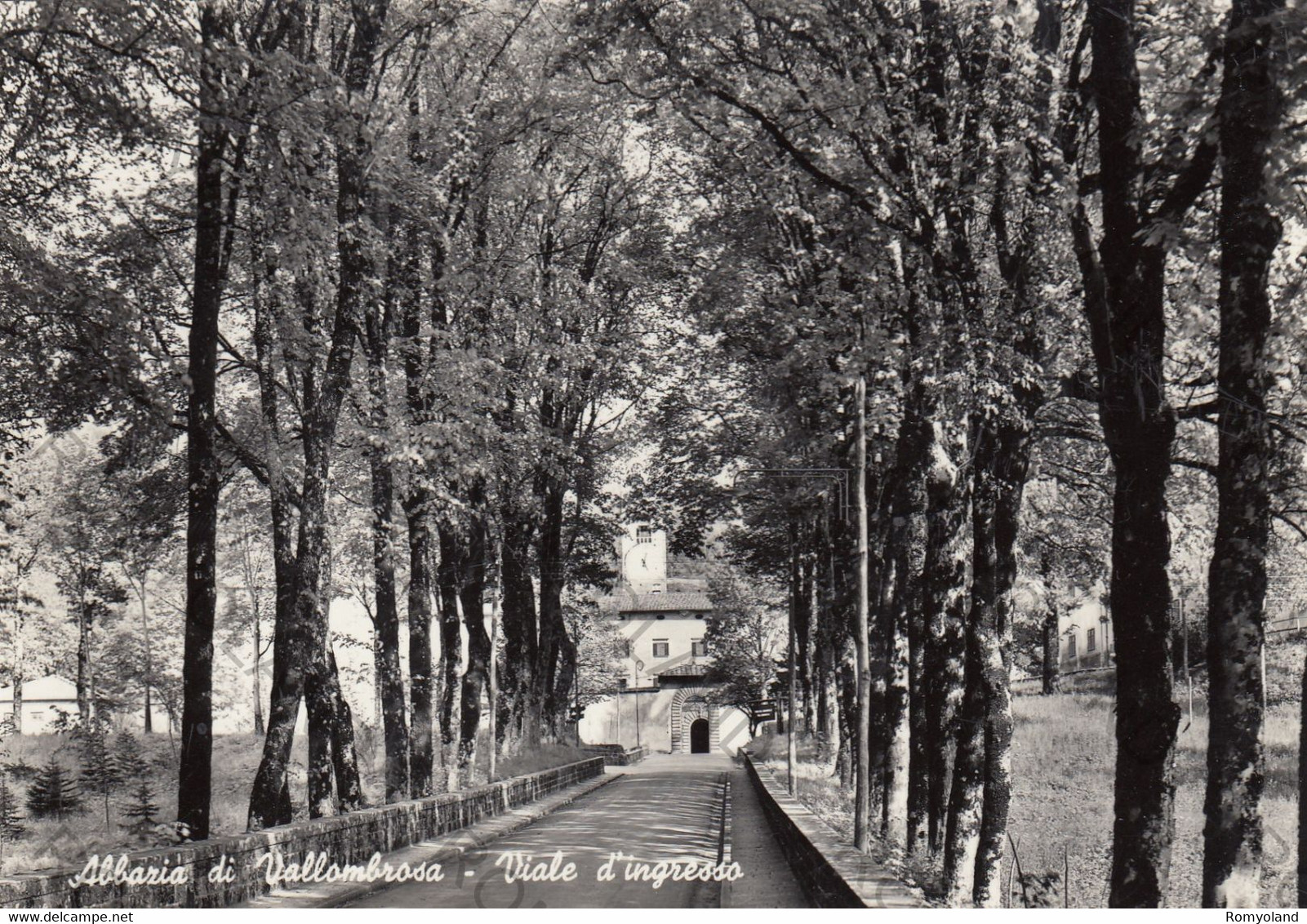 CARTOLINA  VALLOMBROSA M.1000,FIRENZE,TOSCANA,ABBAZIA DI VALLOMBROSA-VIALE D"INGRESSO,BELLA ITALIA,NON VIAGGIATA - Empoli