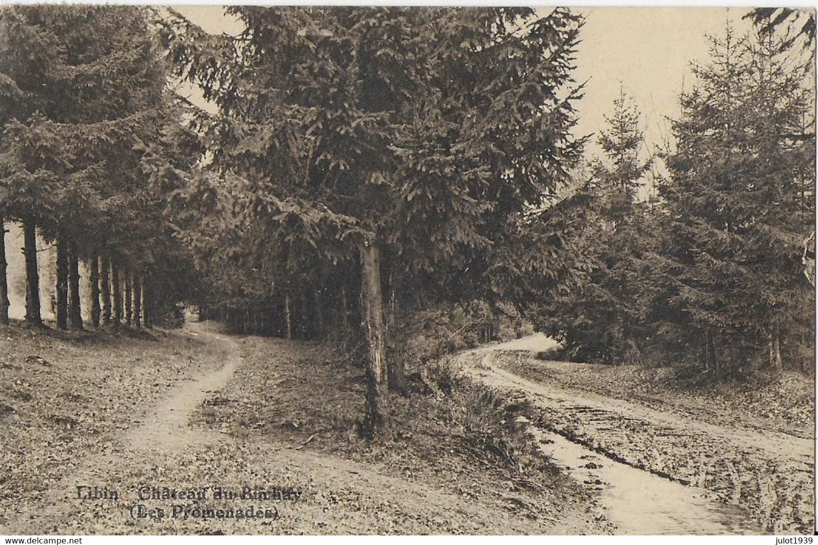 LIBIN ..-- Château Du BUCHAY . Promenades . 1928? Vers VERVIERS ( Melle J. DELVENNE ) . Voir Verso . - Libin