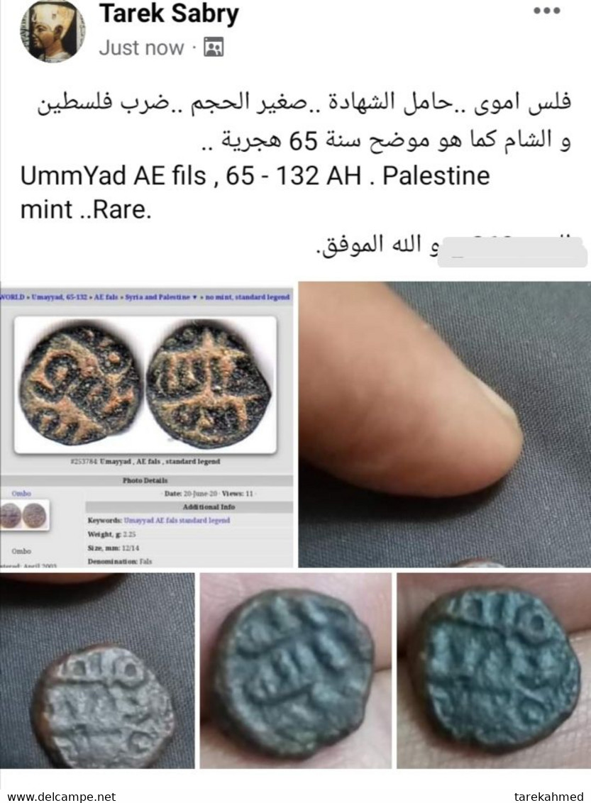 Ummyad AE Fils , 65 - 132 AH . Palestine Mint ..Rare. Gomaa - Islamic