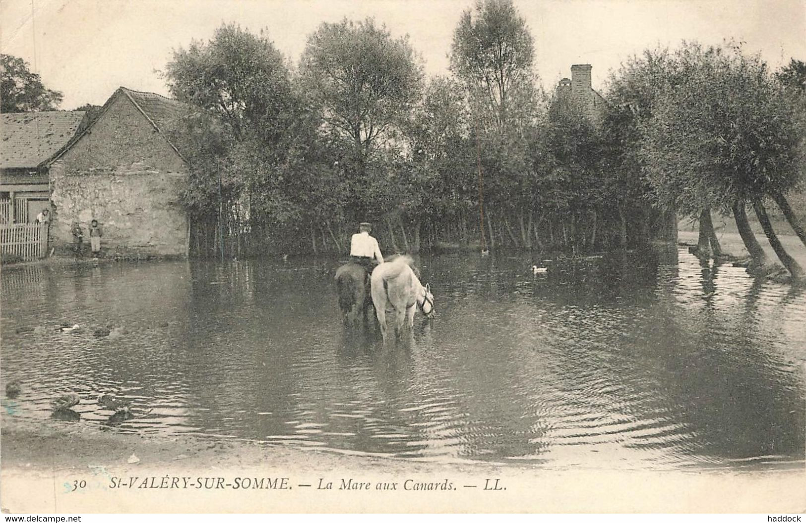 SAINT VALERY SUR SOMME : LA MARE AUX CANARDS - Saint Valery Sur Somme