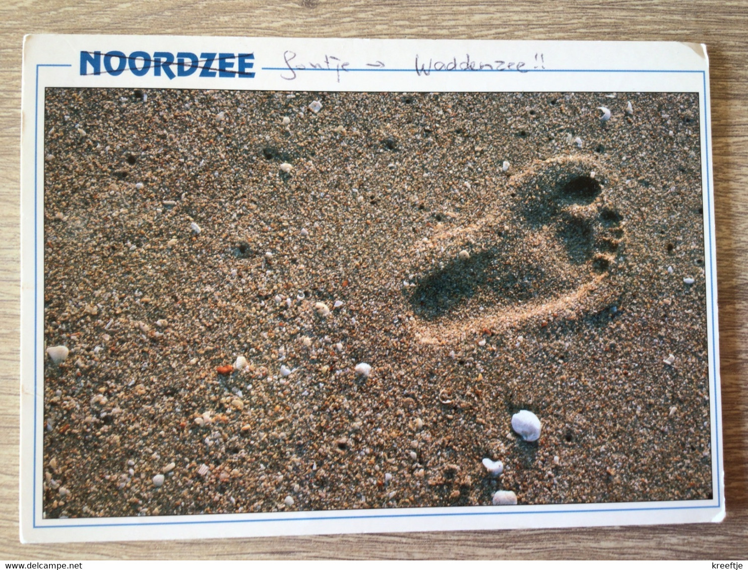 Nederland. Noordzee. Waddenzee - Altri & Non Classificati