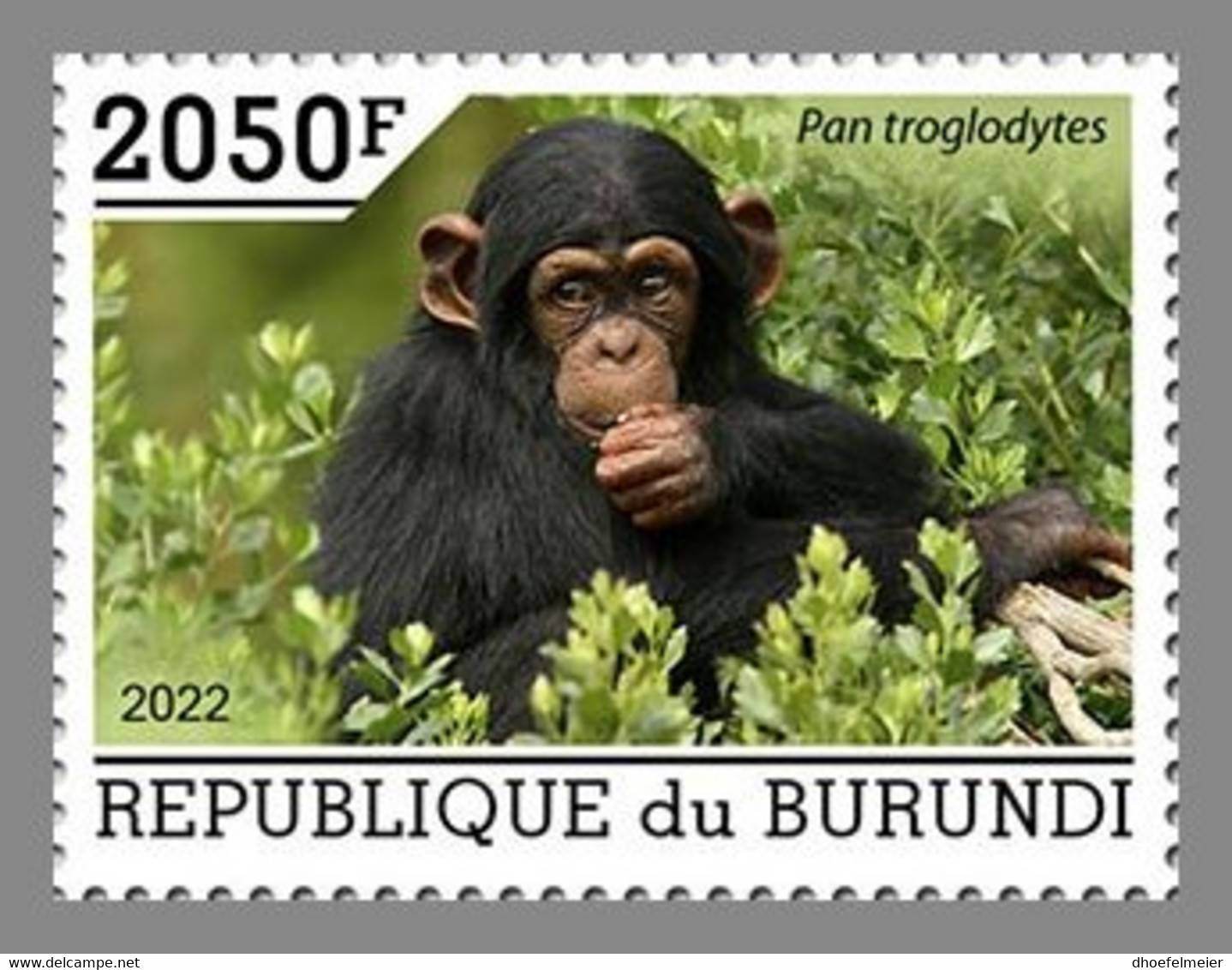 BURUNDI 2022 MNH Chimpanzees Schimpansen Chimpanzes 1v - OFFICIAL ISSUE - DHQ2209 - Chimpanzés