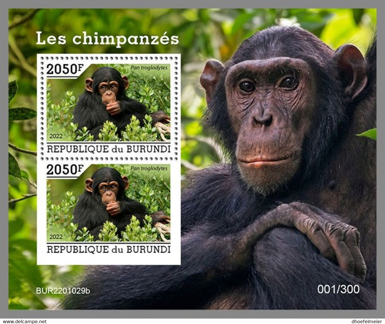 BURUNDI 2022 MNH Chimpanzees Schimpansen Chimpanzes S/S - OFFICIAL ISSUE - DHQ2209 - Chimpancés