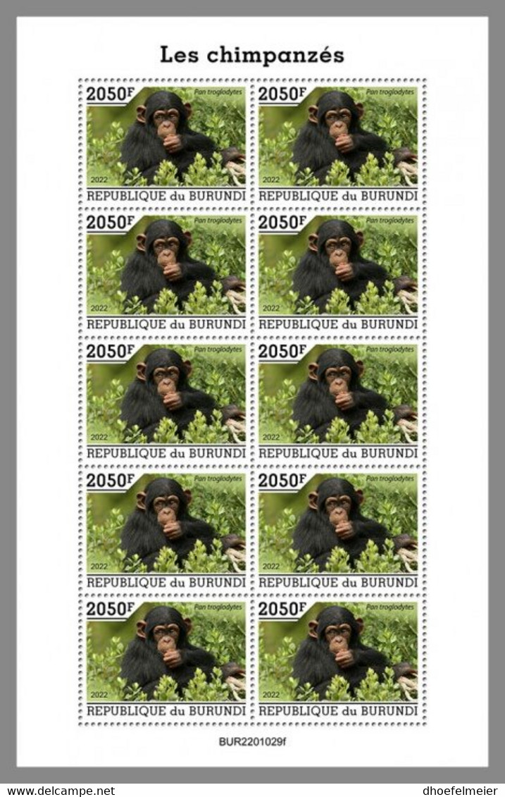 BURUNDI 2022 MNH Chimpanzees Schimpansen Chimpanzes M/S - OFFICIAL ISSUE - DHQ2209 - Chimpanzees