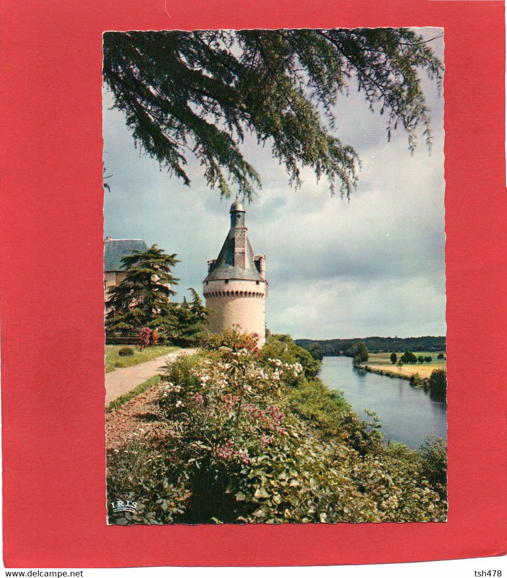 86-----BONNES---château De Touffou--la Tour Saint-Jean--voir 2 Scans - Chateau De Touffou