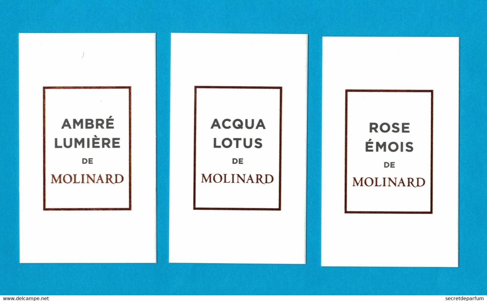 3 Cartes Parfumées  AMBRE LUMIERE   ACQUA LOTUS  Et ROSE EMOIS  De MOLINARD   8.5 Cm X 5 Cm - Modernes (à Partir De 1961)