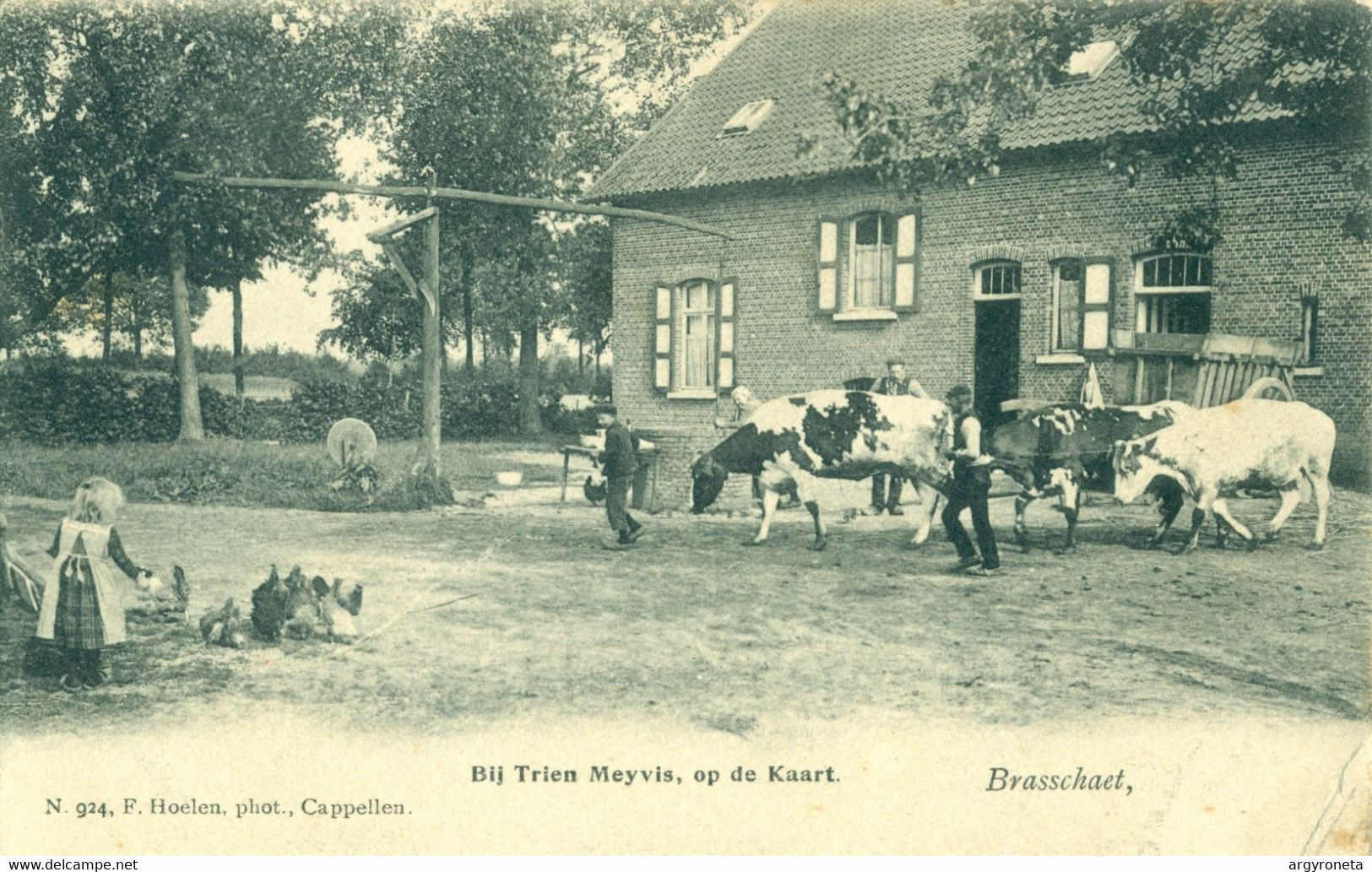 Brasschaet - Bij Trien Meyvis, Op De Kaart - Animatie. Hoelen 924 - Brasschaat