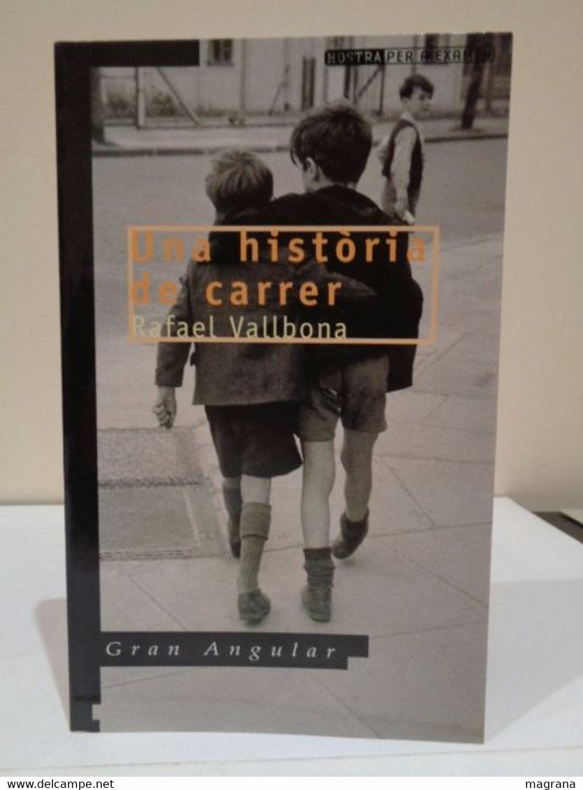 Una Història De Carrer. Rafael Vallbona. Gran Angular Nº 114. 1a Edició 2000. 159 Pp. - Giovani