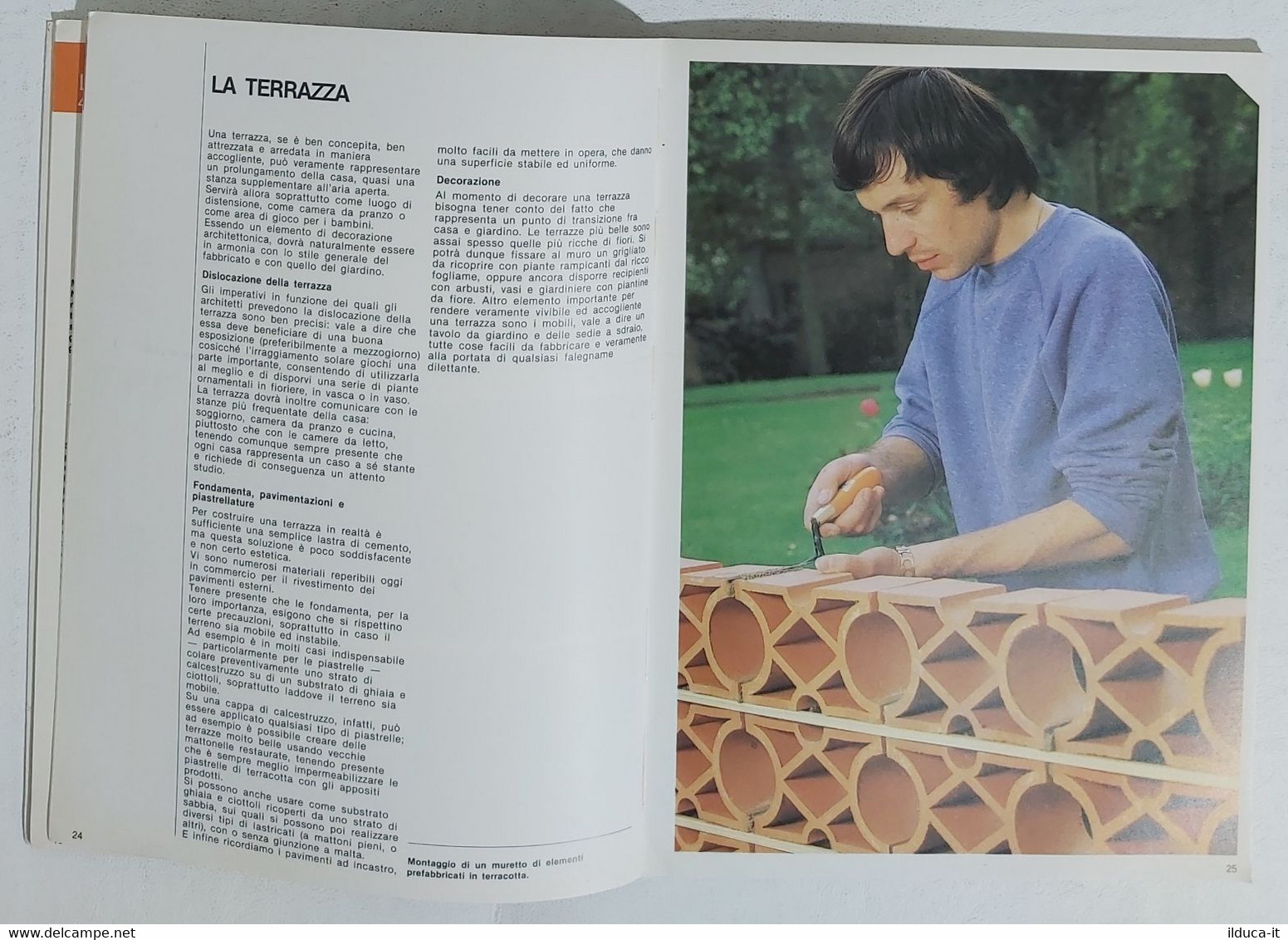 81156 SCUOLA DEL FAR DA SE N. 10 1981 - Balconi, Terrazzi, Giardini: Decorazioni - Textos Científicos