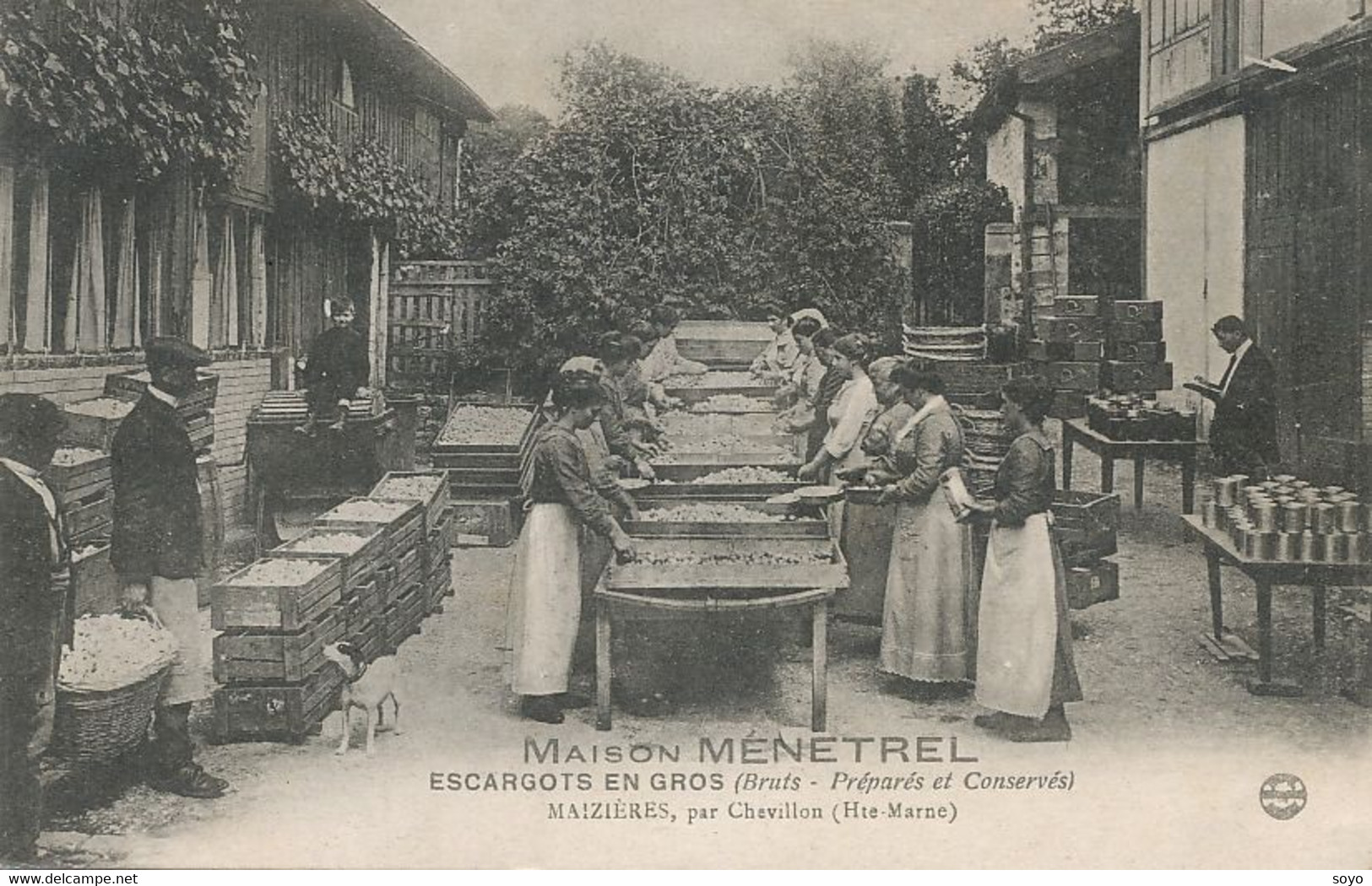 Maison Menetrel Maizières Chevillon 52 Escargots En Gros . Snail Sellers - Händler