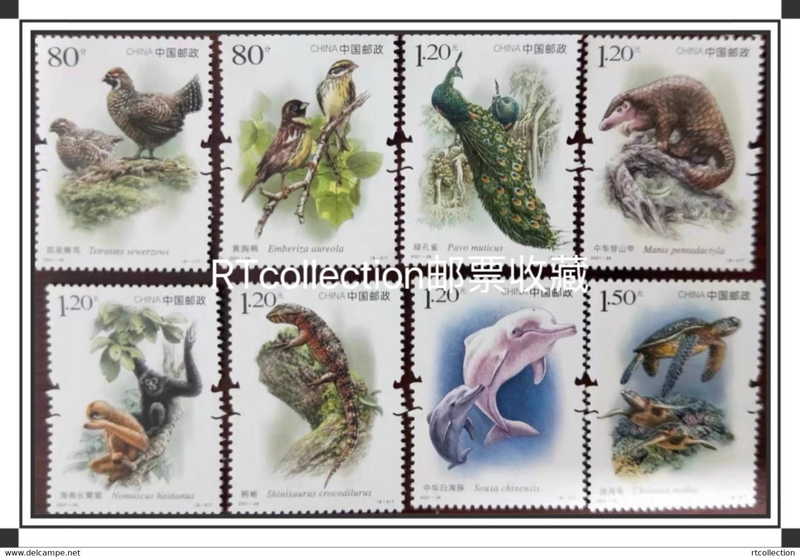 China 2021 Set National Key Protected Wild Animals Birds Bird Peacock Peacocks Mammals Monkeys Gibbon Stamps MNH 2021-28 - Pavos Reales