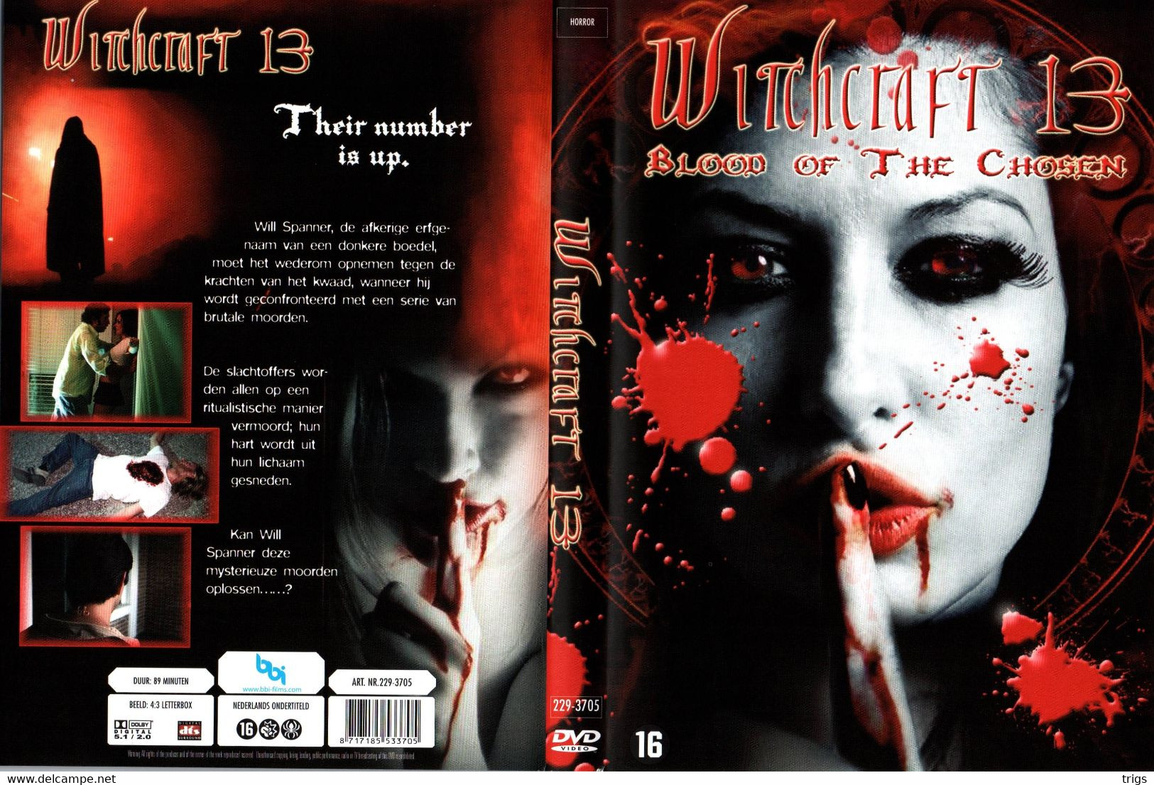 DVD - Witchcraft 13: Blood Of The Chosen - Horror