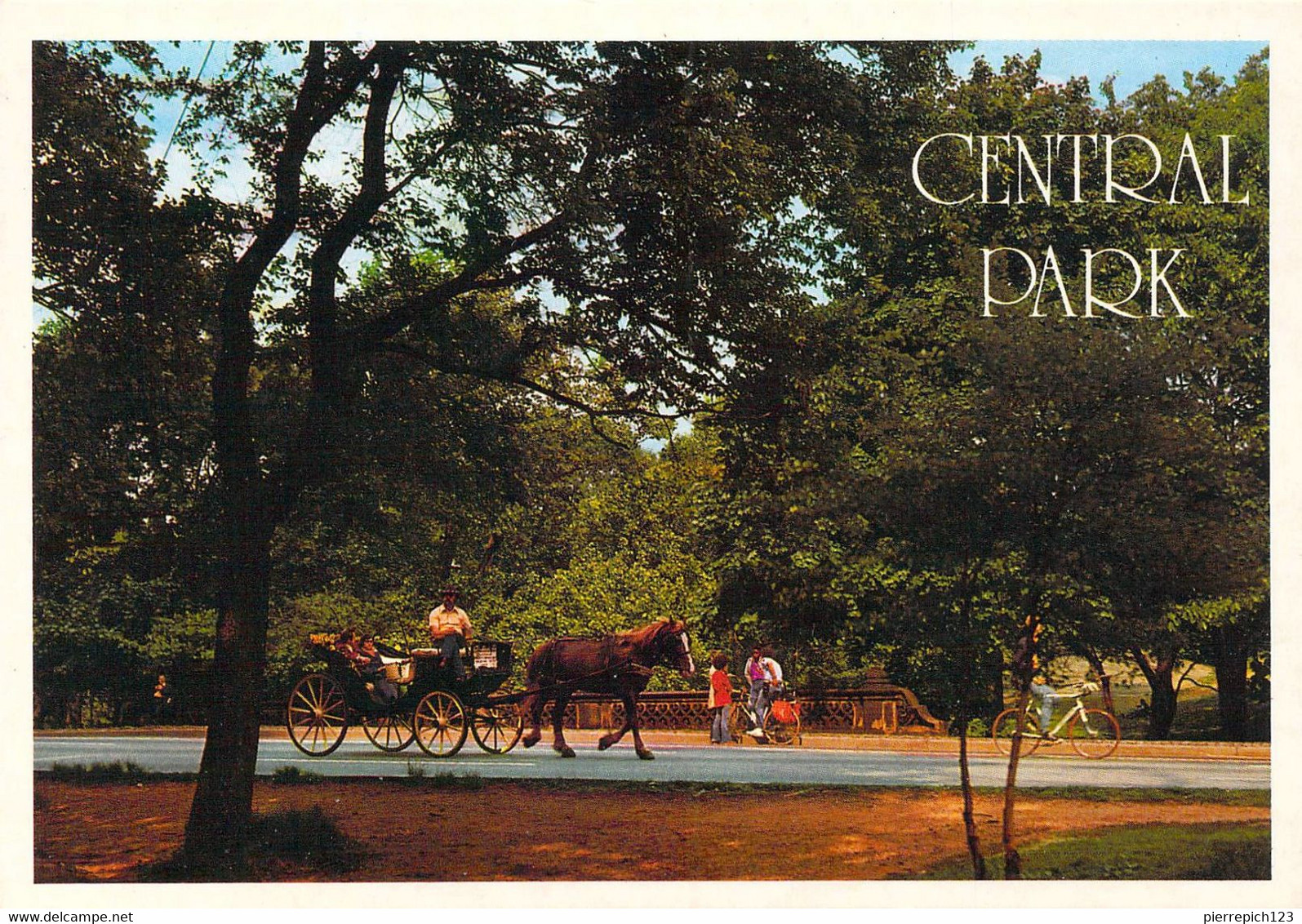 New York - Central Park - Promenade En Calèche - Central Park