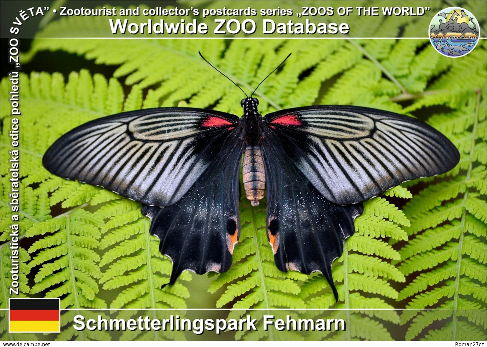 980 Schmetterlingspark Fehmarn, DE - Scarlet Mormon (Papilio Deiphobus) - Fehmarn