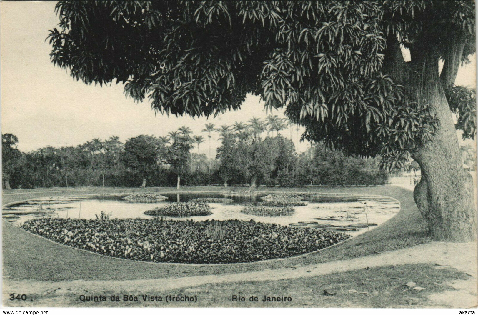 PC BRAZIL, RIO DE JANEIRO, QUINTA DA BOA VISTA, Vintage Postcard (b36253) - Boa Vista