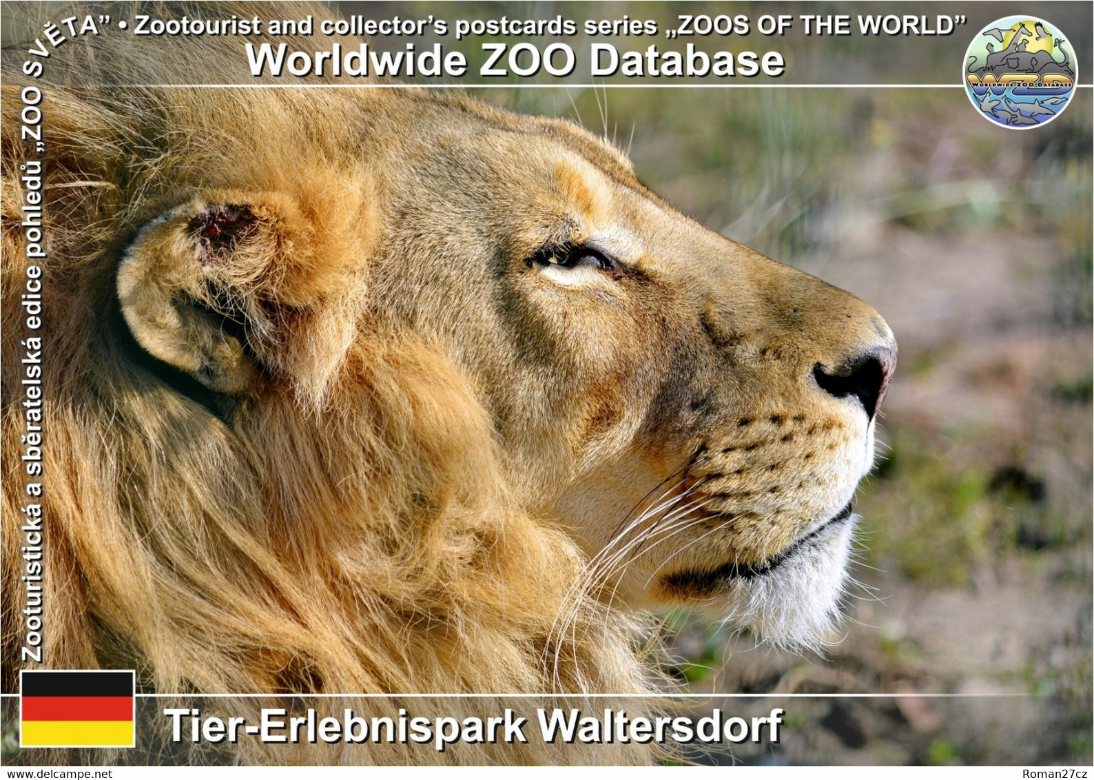 1051 Tier-Erlebnispark Waltersdorf, DE - Lion (Panthera Leo) - Schoenefeld