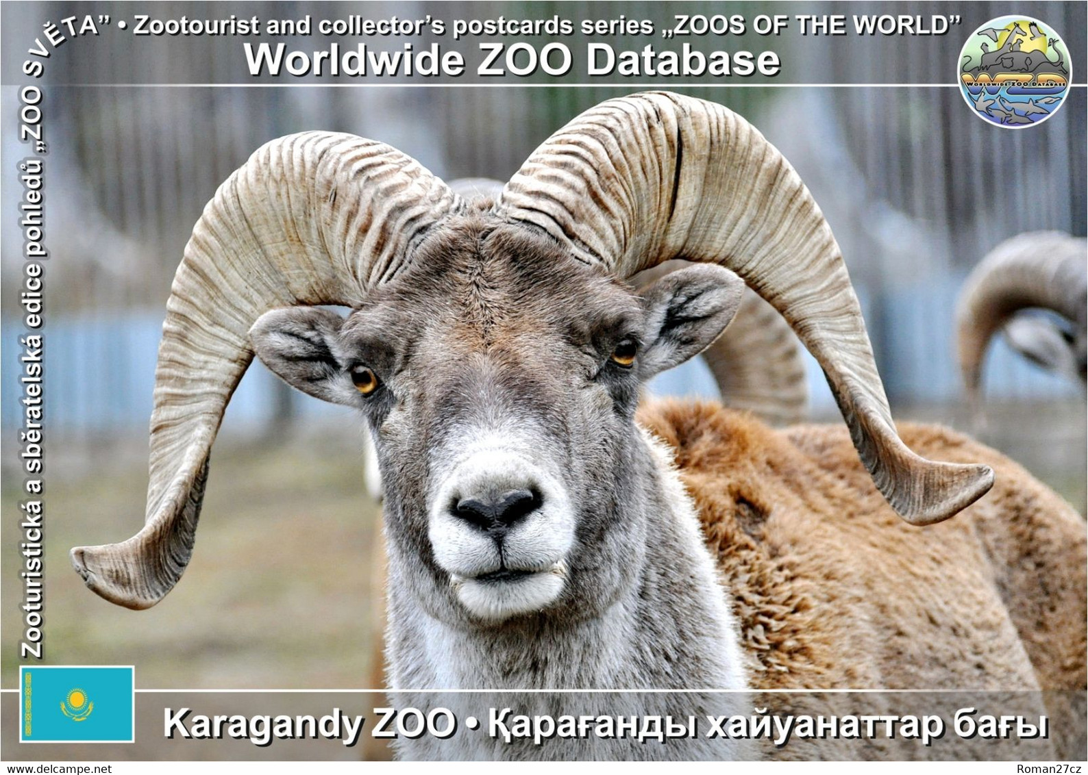 1128 Karagandy ZOO, KZ - Karaganda Argali (Ovis Ammon Collium) - Kazakhstan