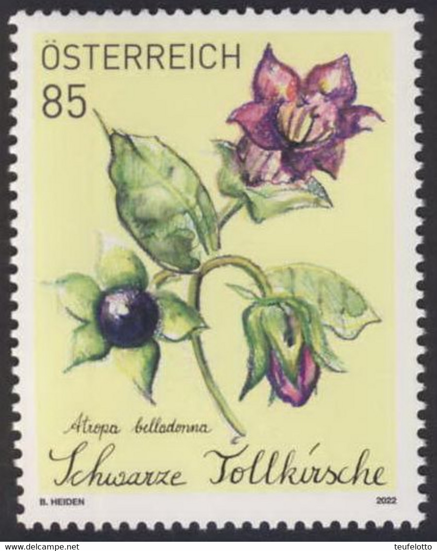 Österreich 2022 Treuebonusmarke "Schwarze Tollkirsche" Postfrisch MNH /A##2022 - Ungebraucht